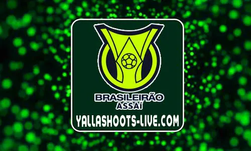 ترتيب الدوري البرازيلي 2024 يلا شوت